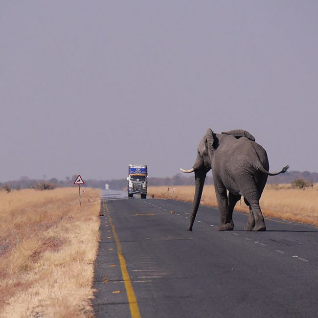 Viaje a Botsuana - Señora Sheldon Agencia de Viajes